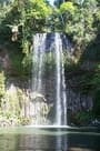 From Gold Coast - Springbrook