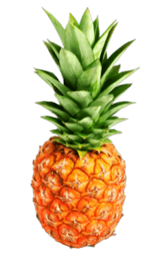 Pineapple Tours